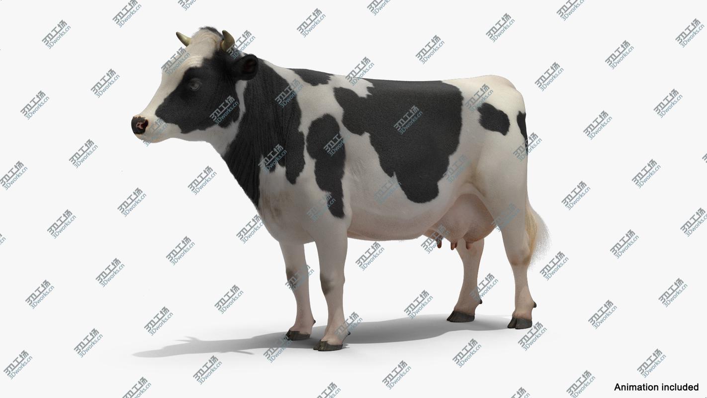 images/goods_img/2021040234/3D Animated Cow Collection model/4.jpg